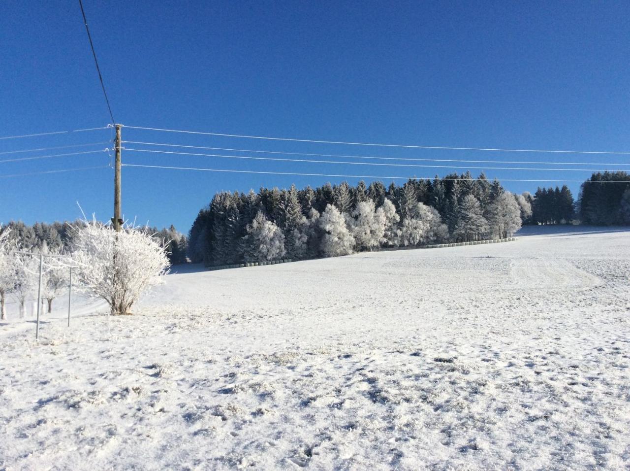 Villa Ferienbauernhof Koller Helfenberg Esterno foto