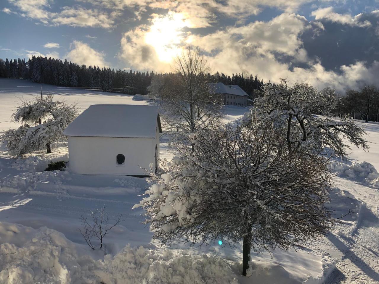 Villa Ferienbauernhof Koller Helfenberg Esterno foto